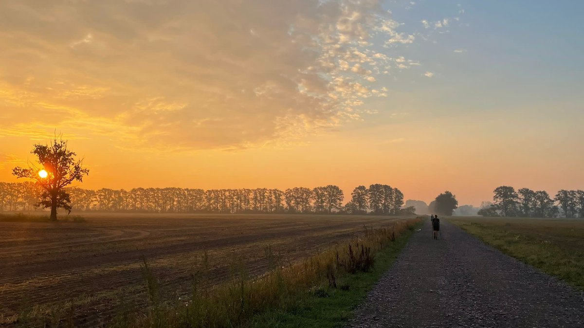 thomas2508's tweet photo. Nur noch zweimal schlafen…kaum vorzustellen das dann alles vorbei sein soll!? Unser Camp haben wir heute am Schweriner See aufgebaut, was für ein schöner Ort…ein traumhafter Sonnenuntergang.🌅
#GermanTrail #Tag18 #45km https://t.co/Cj53Ot3xRd
