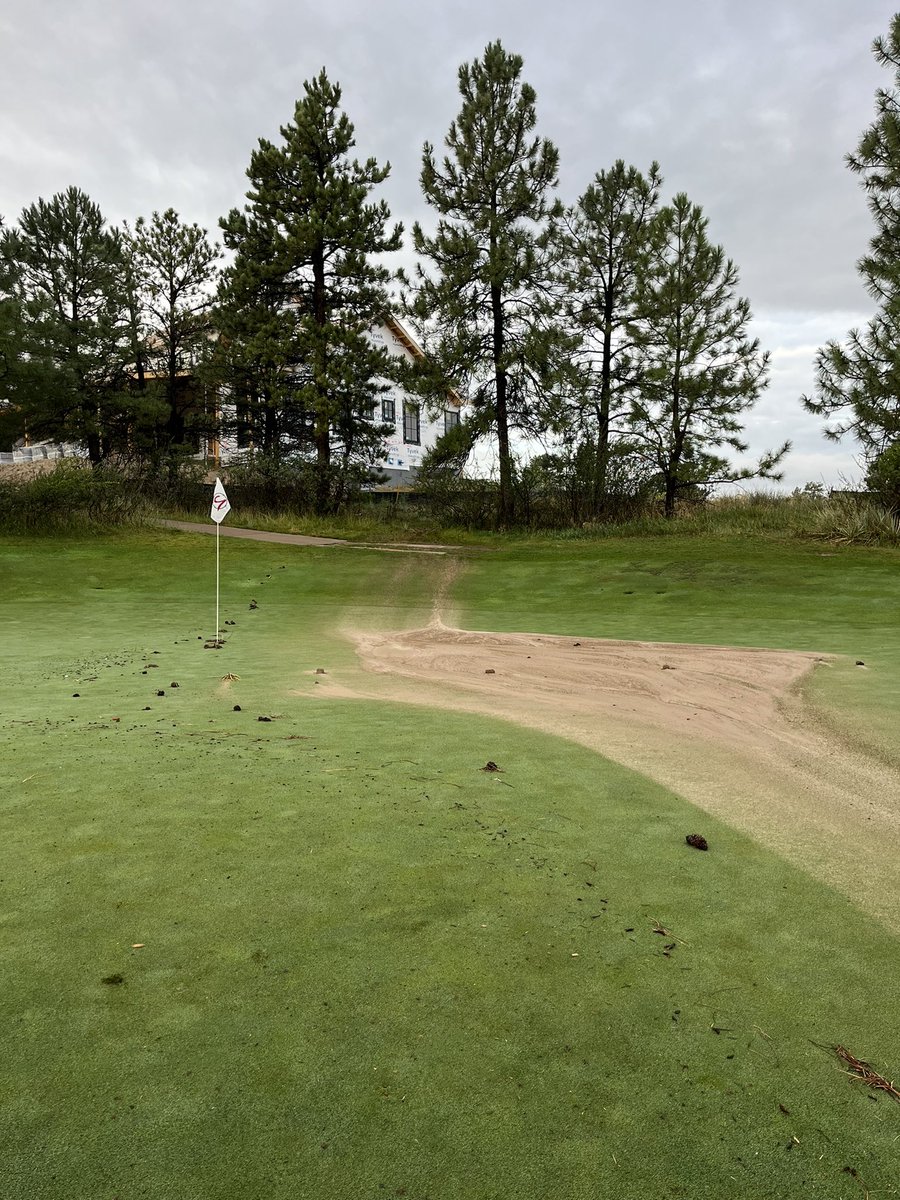 CGCturfmaint's tweet photo. https://t.co/OfeZZ0bALb