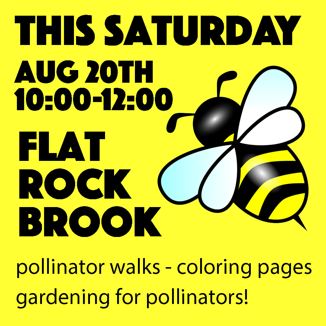 flatrockbrook's tweet image. Celebrate National Honey Bee Day with us this Saturday from 10-12 / Englewood, NJ Library from 12-2!