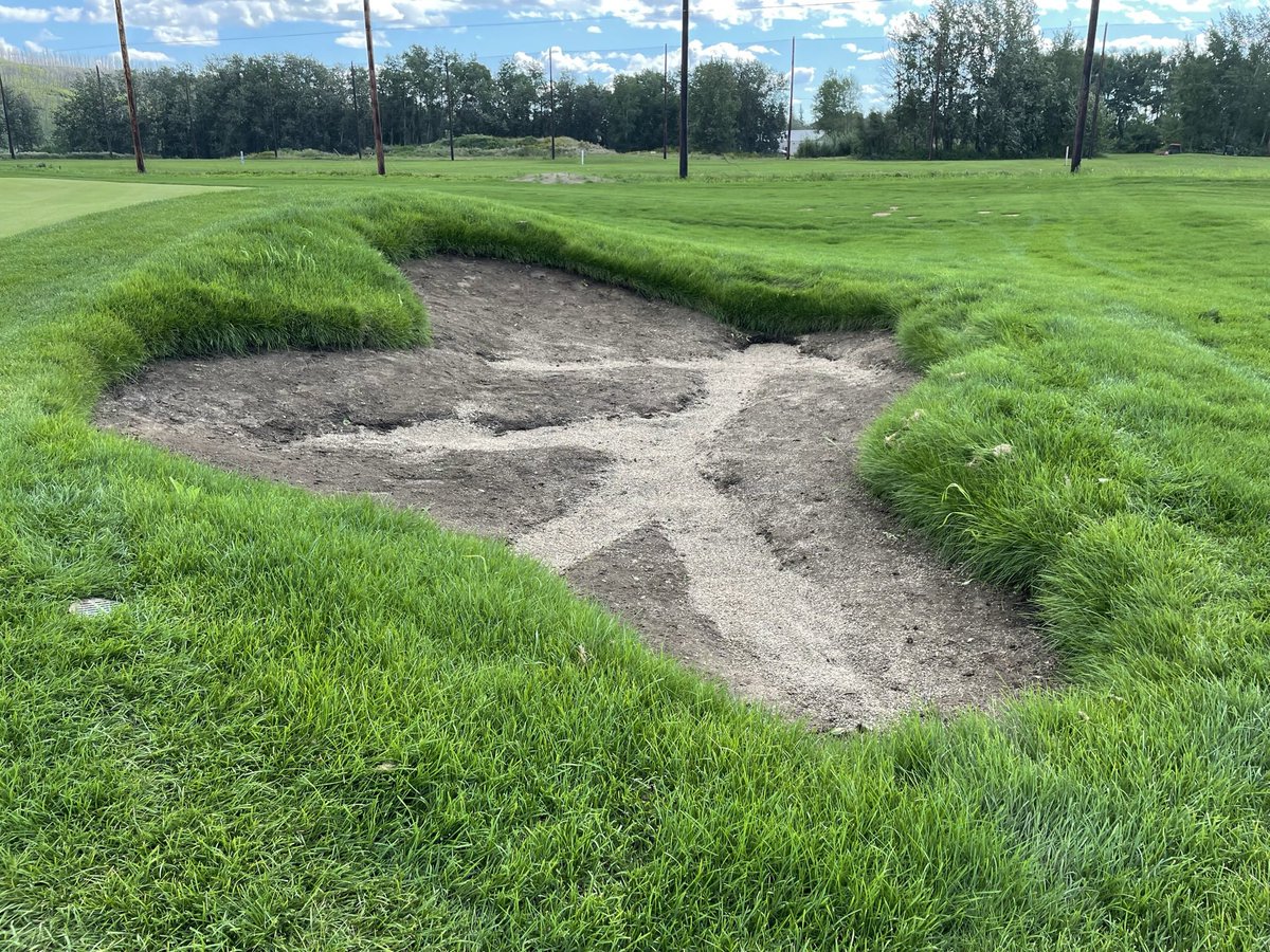 Bryan Ohnysty tweet media