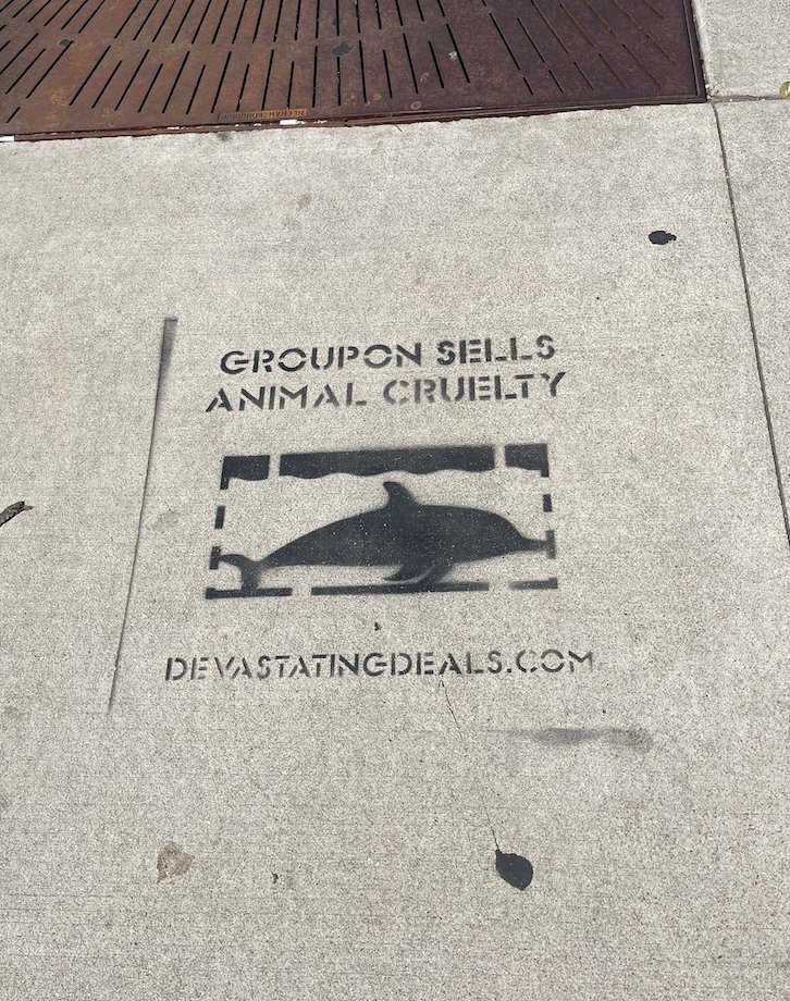 Kropserkel's tweet photo. Hey #Chicago! @Groupon sells tickets to venues where dolphins are exploited for profit. Have you seen the dolphin stencils around the city urging the company to stop? Groupon, no more #devastatingdeals. https://t.co/1btjBdgq0r