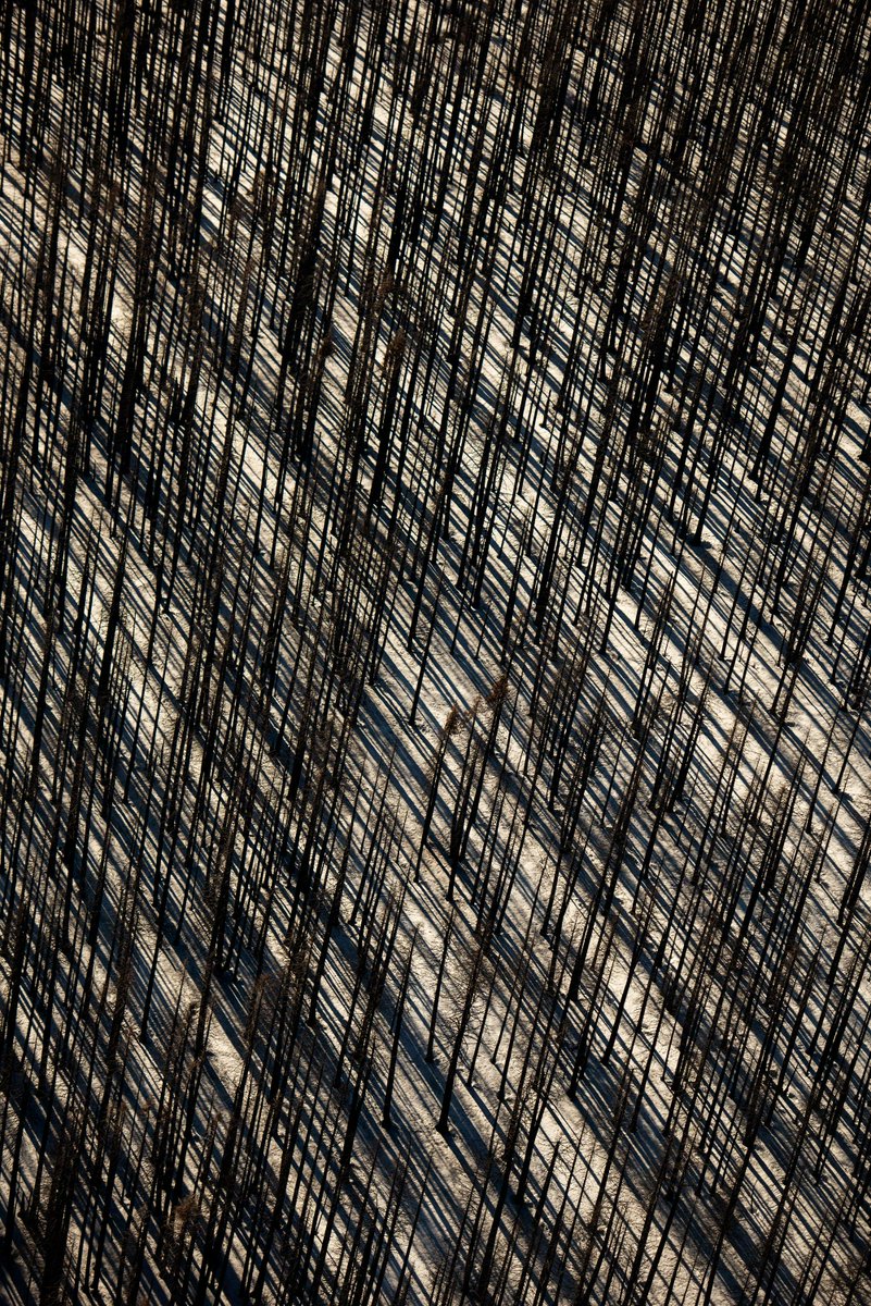 Conserve_CA's tweet image. How has climate change impacted you? We want to see how climate change is affecting your community, family and way of life. #DixieFire #megafire

Submit your photos to TNC’s 2022 #PhotoContest: nature.ly/3QLK5D7.

📸 Jassen Todorov/TNC Photo Contest 2022