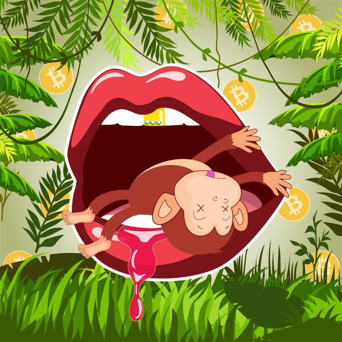 S◎L Sensei tweet media