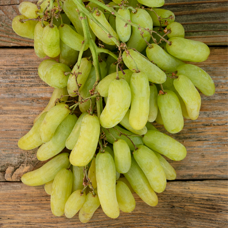 SpecialtyProd's tweet photo. Do you reach for green or red grapes? Finger grapes are a sweet and floral, seedless grape that is perfect for snacking! #specialtyproduce #fingergrapes #grapes #fruit