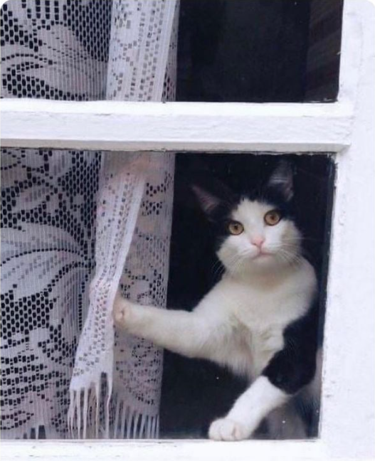 Taşındı gitti onlar