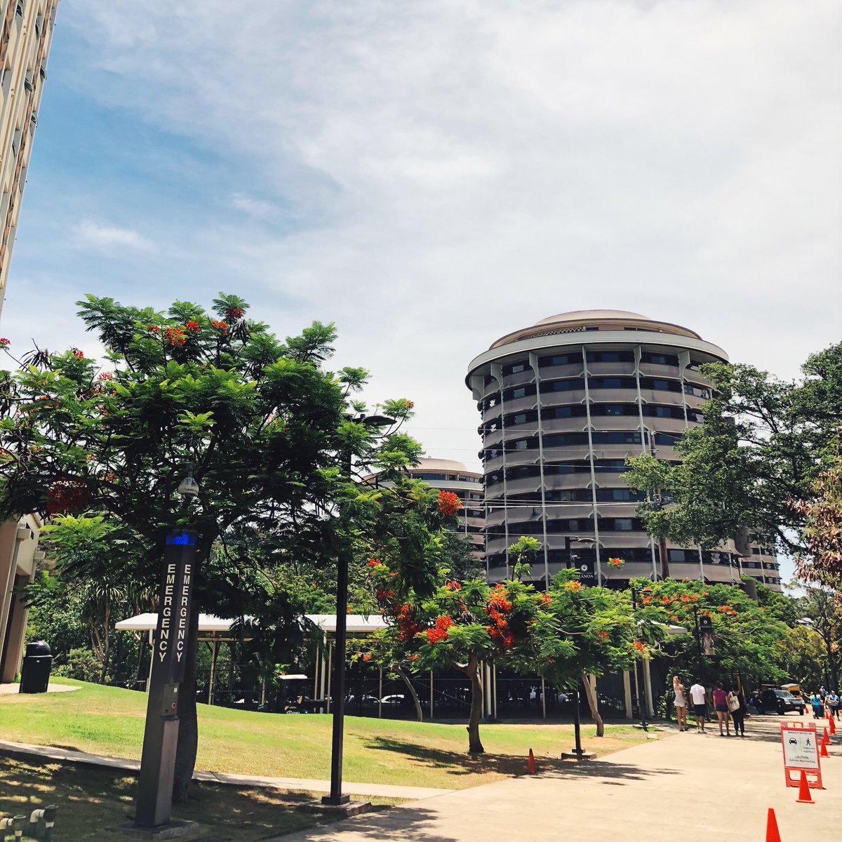 University of Hawaii at Manoa tweet media