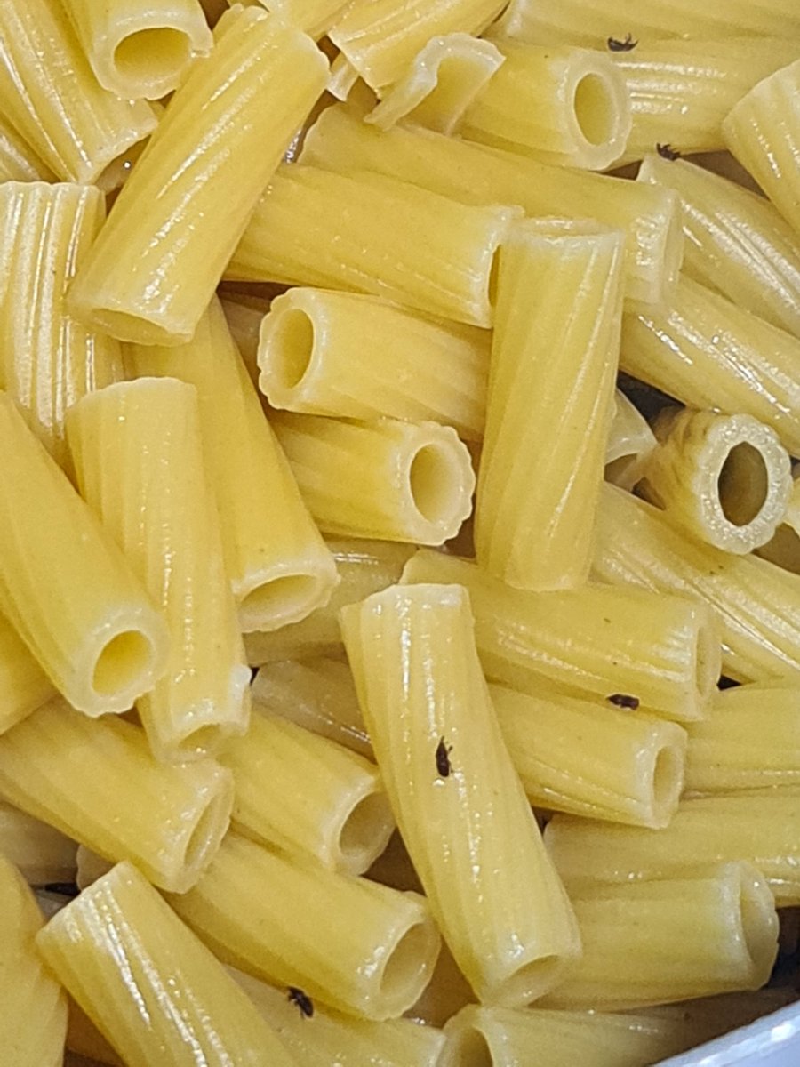 hjs0000's tweet photo. @AsdaServiceTeam I have just gone to cook food for the family and found live creatures crawling in the pasta bag. Eggs must have been laid...absolutely disgusting!!! I will not be shopping with you!!! https://t.co/LKuIecL2cR