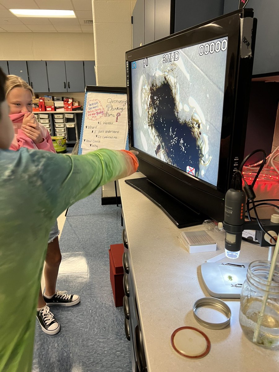 MrsS_plACE's tweet photo. Starting our Environmental unit by discovering different and unusual habitats, including a close up view of pond water organisms. #MMIS_ACE #PowerUpMCSS https://t.co/2rrQDSLeua