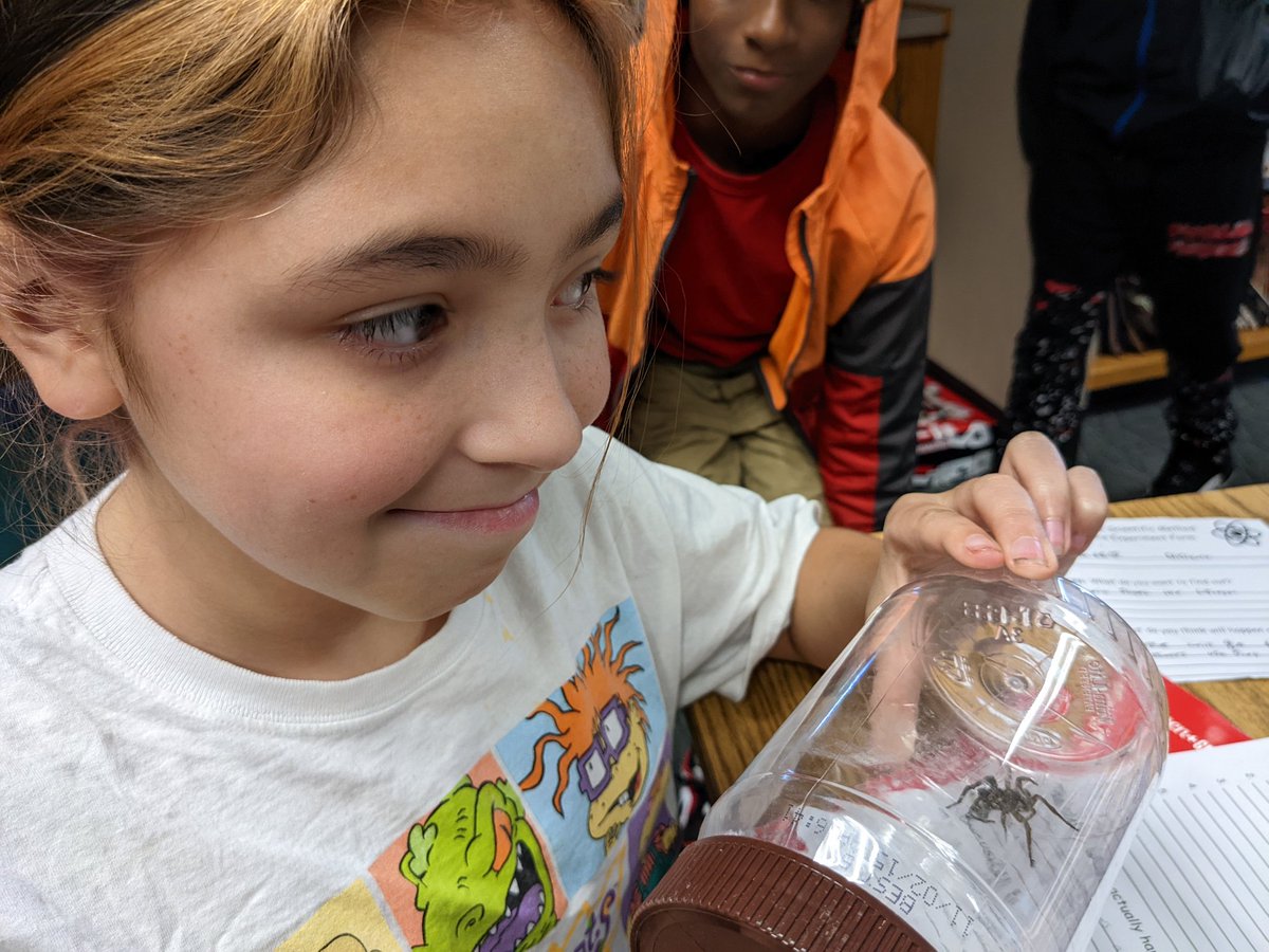 StevenHBuhr1's tweet photo. When a spider walks into a 6th grade classroom. #wearewayne @NorthWayneElem #newclasspet #observationlearning #scienceisawesome https://t.co/hLBDdyy25A