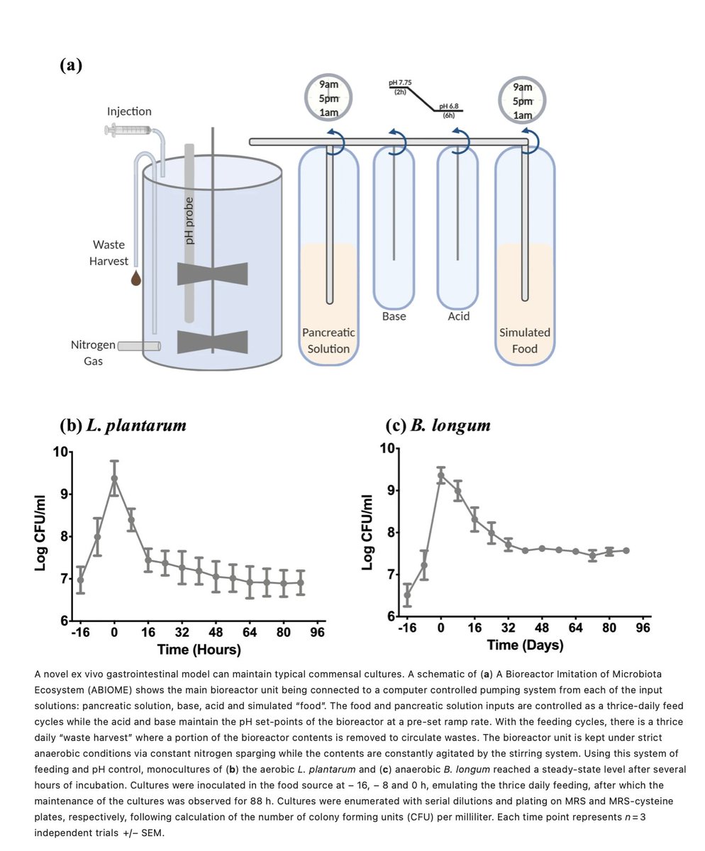 IcahnCMIN's tweet photo. MISSED IT? In #PasinettiLab STUDY model of human #GItract designed & validated for ability to sustain human #Gut #Microbiotaโs complexity &, w/ #MachineLearningAlgorithm, used to design optimized #Probiotic formulations w/ strong therapeutic potential! https://t.co/H6DhoC86hT https://t.co/6x6E8gLtG9