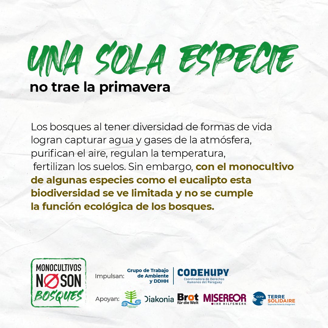henoi_py's tweet photo. 1/2
❌¡Monocultivos No Son Bosques!

🍃Los bosques al tener diversidad de formas de vida logran capturar agua y gases de la atmósfera, purifican el aire, regulan la temperatura, fertilizan los suelos. https://t.co/b8dUky9Fg2
