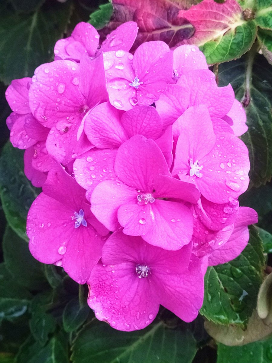 AraftaGelincik0's tweet image. | GİDELİM 
Gidelim hadi
Nereye kimsenin kimseyi 
üzmeyeceği bir yere
Üzüntünün tedavülden 
Kalktığı bir yere

İnsanların ağızlarından 
Çıkan her sözün doğru olduğu
Sevmenin gerçekten sevmek 
Anlamına geldiği bir yere 

ALİ LİDAR

#Endpushbacks