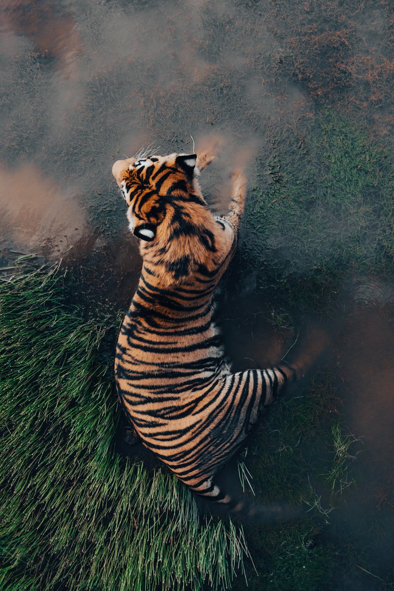 Discovery tweet media