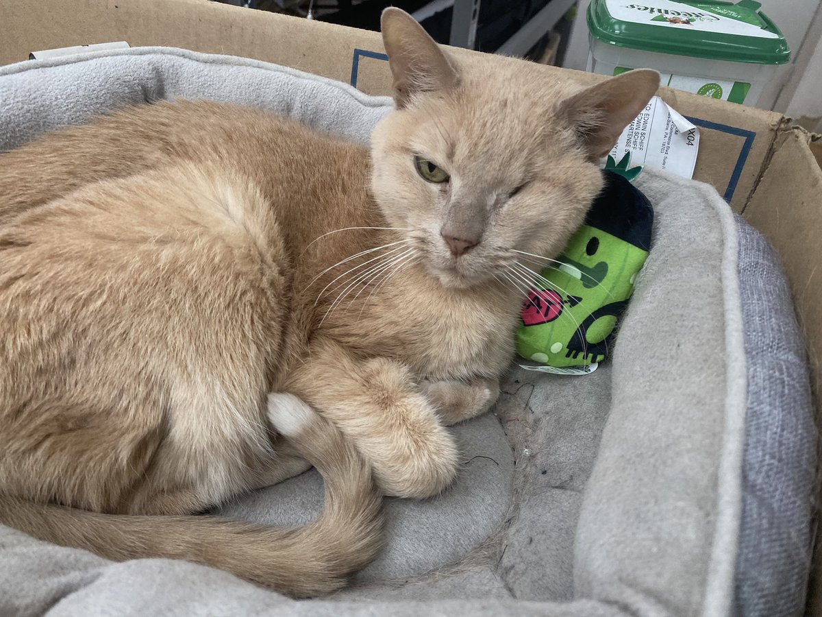 Dallon K. Fournier tweet media