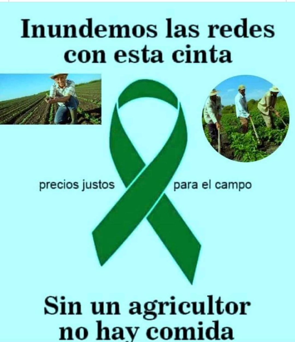 👇👇👇👇👇👇👇👇👇