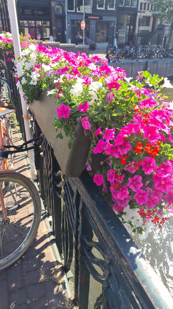 Very drying wind at the moment.
Mulch beds heavly with bark mulch 
Gee up or good garden compost.
This will conserve moisture.
Make contingencies to save,harvest&amp;store water in readiness for the next rainy day.
Arrange for your plants to be watered,if away on holiday.