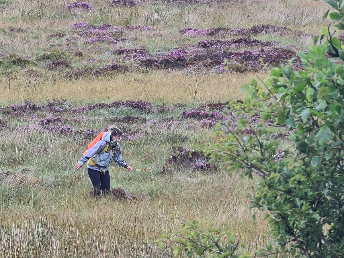 Knee deep in a bog today at our <a href="/UofGArchaeo/">UofG Archaeology</a> field school walkover survey. It slowly dawned on me as my feet sank deeper there was no way out of this so better to just embrace it 😂 plus we then found some likely prehistoric features!

Action shot credit goes to @mac_Arc_eolais