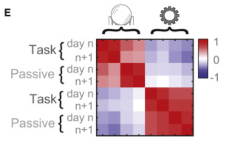 Really interesting results and beautifully executed work from Julie Lee. I'm tweeting just to say how much I love Fig 3e, which has the main results plus exactly the controls you want to see, all in one elegant little plot that is immediately clear (to me at least). Wonderful!!