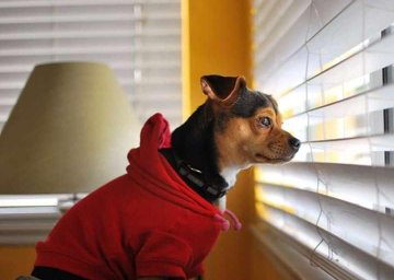 or_lamide1's tweet photo. #Asuuwhy #ASUU 
I tell my friends say before ASUU call of strike, I go buy car...
I no even get money for transport to go back school laidis 😂💔 https://t.co/Jl115joefD