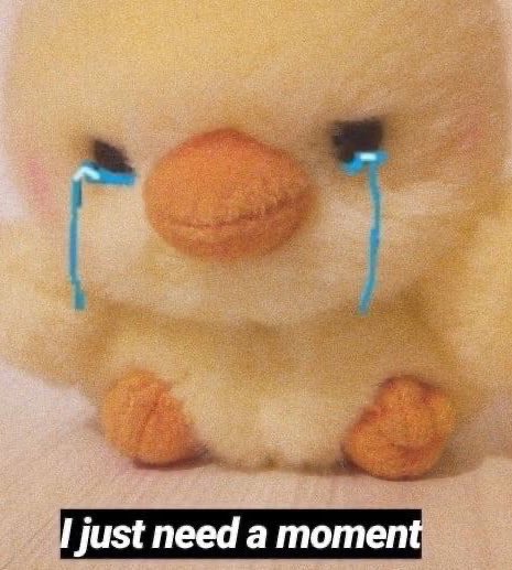 st_cevelyn's tweet photo. @favromancequote i still think about evelyn and celia every day 😭🤧 https://t.co/9XS7uVAdEp