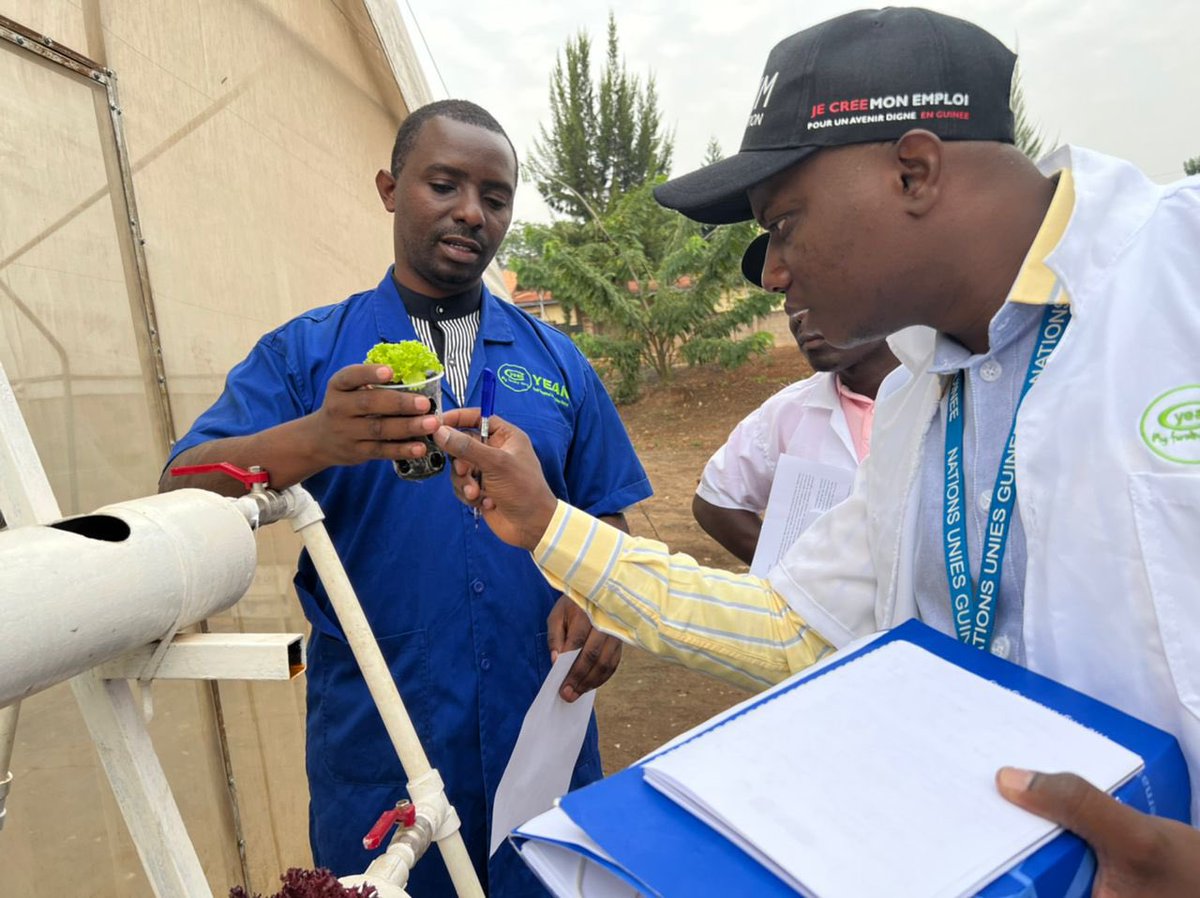 BundlesOfFood's tweet photo. Today was day 2 with @UNmigration at @BundlesOfFood 
It was a great priviledge &amp;Opportunity to explore a lot and talk more about #agribusinessdevelopment 

Team @UNmigration #GUINEÉ 🇬🇳 was very excited about the progress #agritech is taking https://t.co/9EpbWccgbY