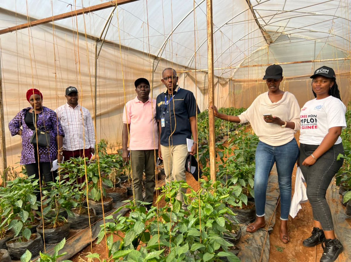 BundlesOfFood's tweet photo. Today was day 2 with @UNmigration at @BundlesOfFood 
It was a great priviledge &amp;Opportunity to explore a lot and talk more about #agribusinessdevelopment 

Team @UNmigration #GUINEÉ 🇬🇳 was very excited about the progress #agritech is taking https://t.co/9EpbWccgbY