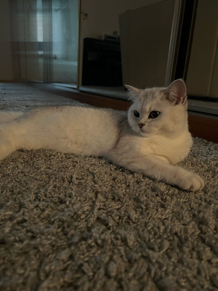 Yaroslava tweet media