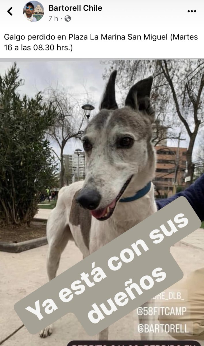 Ya está con sus dueños…