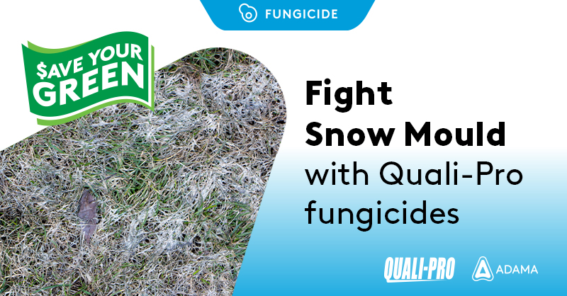 Quali_Pro_CAN's tweet photo. A snow mould management plan that uses a combination of actives is your top defense against fungicide resistance. 

Quali-Pro fungicides, with multiple modes of action, are the complete package.