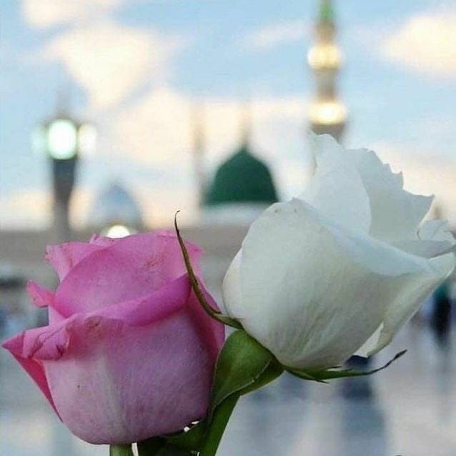 🍃
«كل الأشياء ترحل ولا تعود. إلا الدعاء. يرحل بالرجاء. ويعود بالعطاء»🍃
فثق أن الفرج قريب جداً بإذن الله 🍃
#رسالة_اليوم