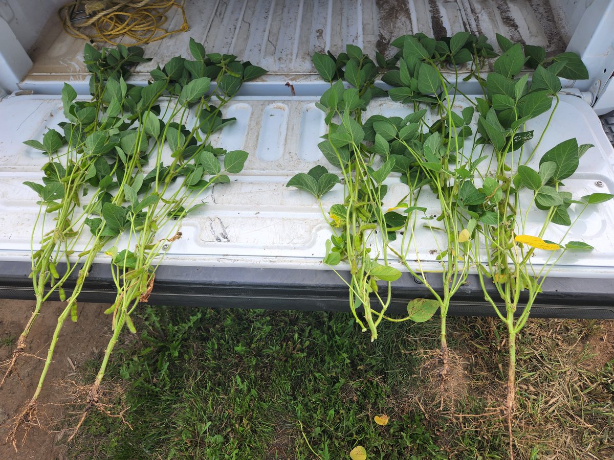 Pierre Pinsonneault tweet media