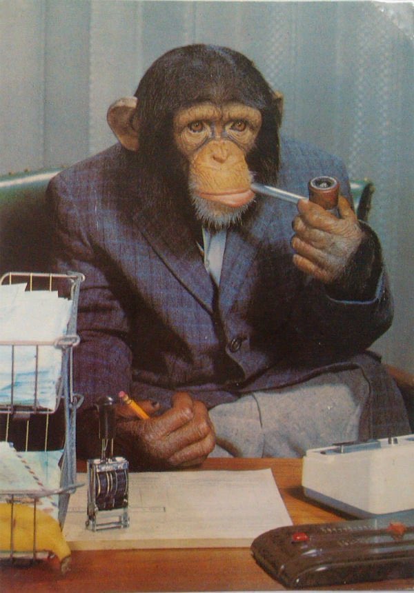 Horikoshi legacy on the line tonight