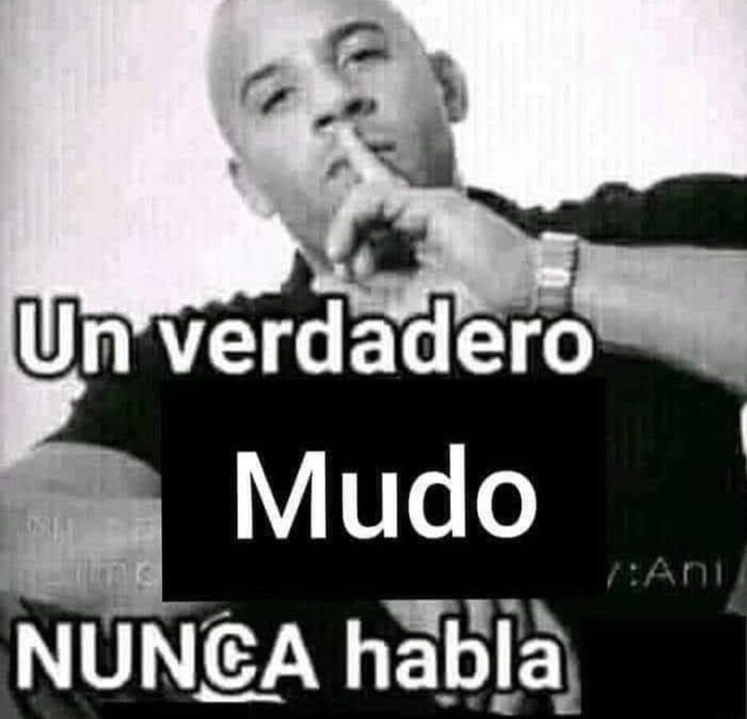 steve lean (@stevelean4real) on Twitter photo 