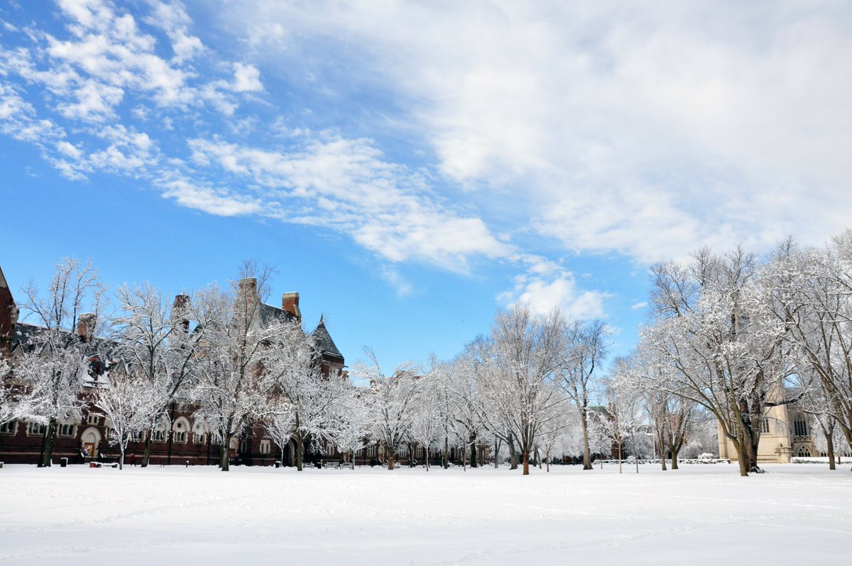 Trinity College Football tweet media