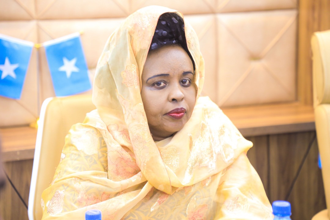 MoH_Somalia's tweet photo. The Minister of Health H.E. Dr Ali Haji, with state Minister &amp; DG today held introductory meeting with public &amp; private hospital Directors &amp; NHPC. Discussions incl strengthening the collaboration b/w private &amp; public service in health through data sharing &amp; strong partnership. https://t.co/ozWOOSheKT