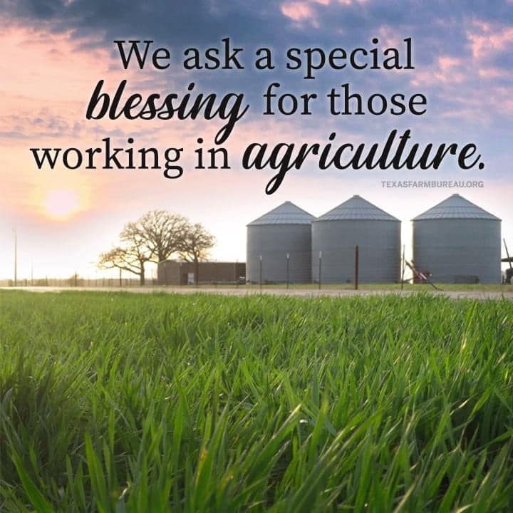 SprayerMods's tweet photo. Amen https://t.co/FItaD33GwF