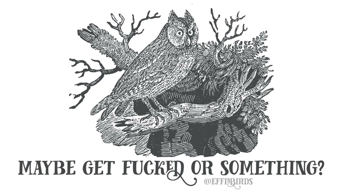 ຖ On Twitter Rt Effinbirds