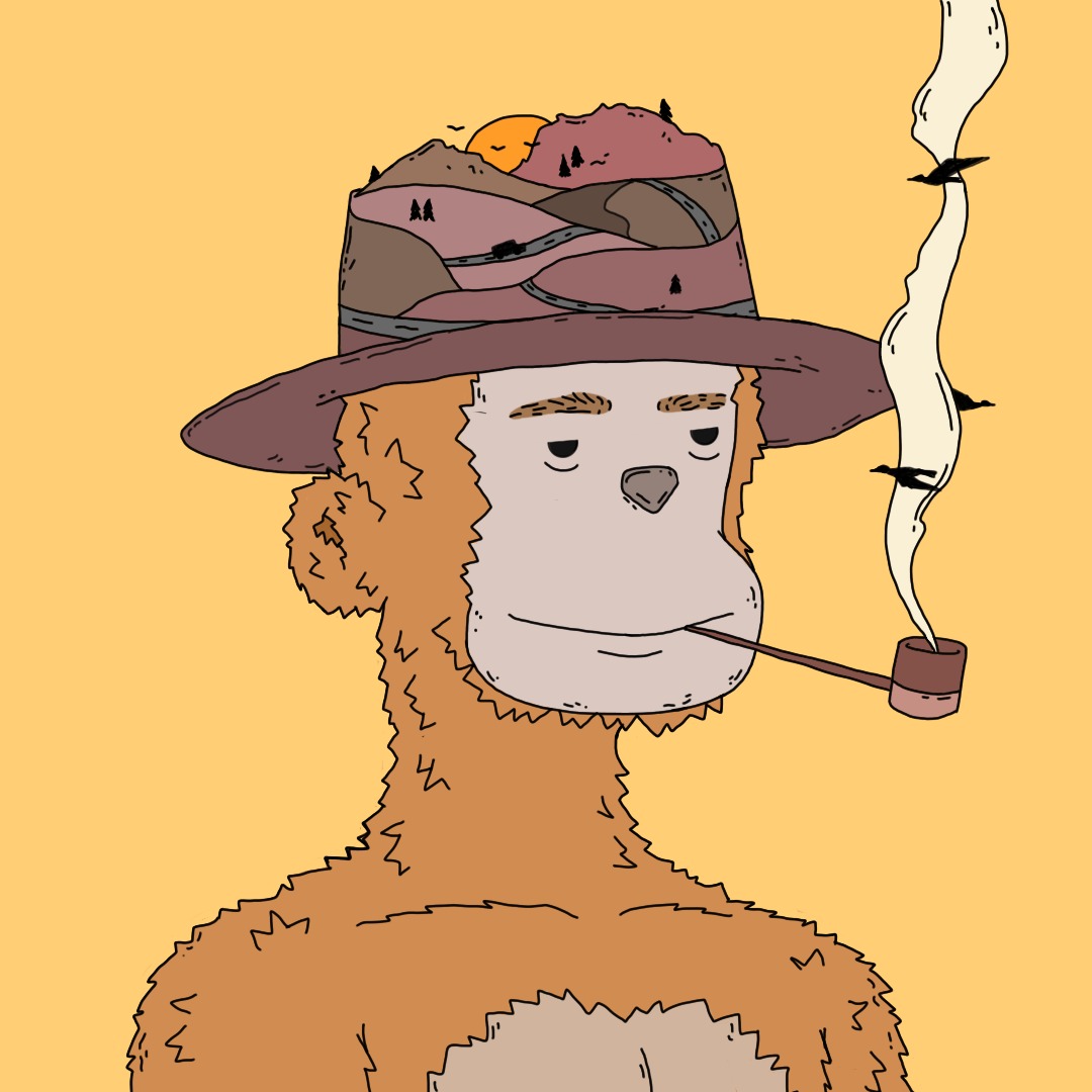 MINT IS LVE! 🚨

#Solana #SolanaNFTs #NFTs #LaunchMyNFT

launchmynft.io/collections/BR…