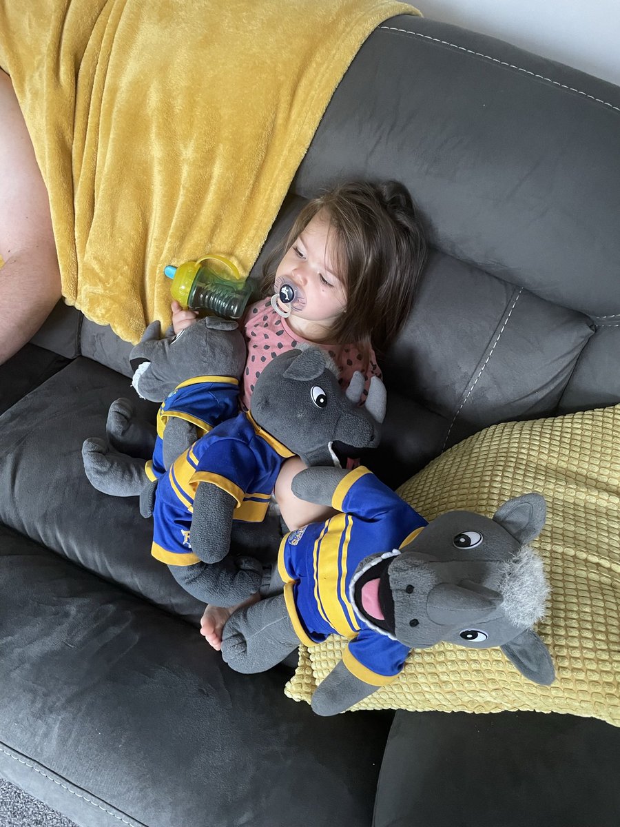 MrsButler2411's tweet photo. @OneRonnieRhino my 2 year old is obsessed with you! She won’t sleep without her Ronnie teddy and carries him everywhere. My brother is a rhino fan and bought her the first teddy when she was 9 month old. Don’t suppose you could send a video saying Hi to her? Her name is Daisy 🥰 https://t.co/dJtAkIal0i