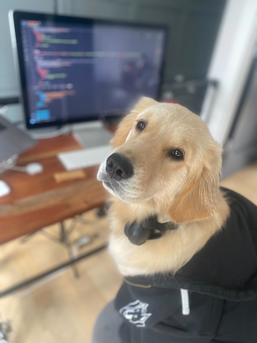 #InternationalDogDay? At Snyk, it's more like International Dog Week!

This year, we're giving you the chance to win fun prizes and donate to doggies in need.

 Find out more next week. 🐾

#DevelopersBestFriend