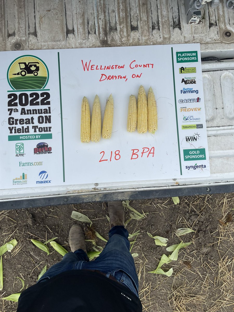 Wade Graham tweet media