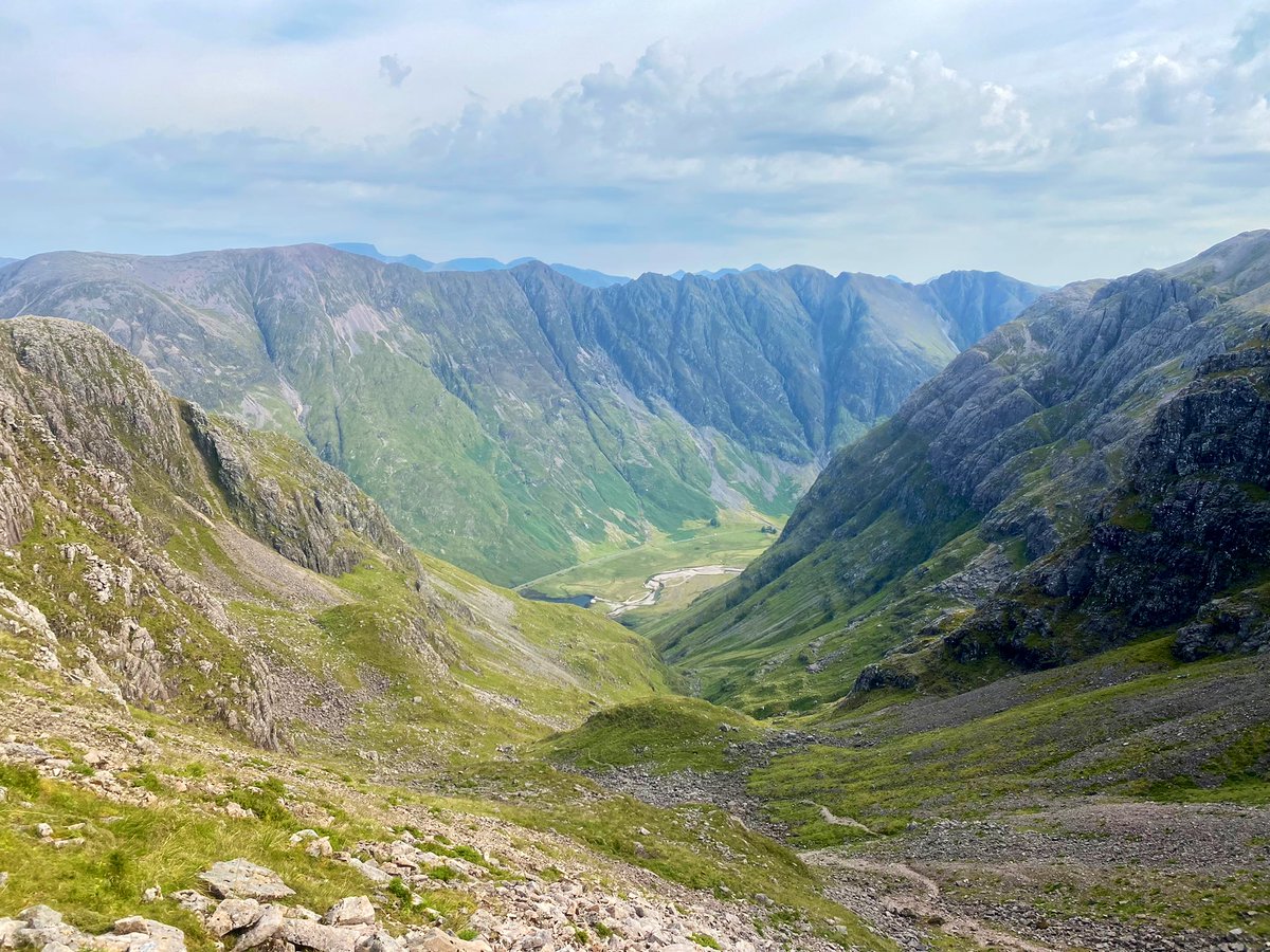 Dr Max Holloway tweet media