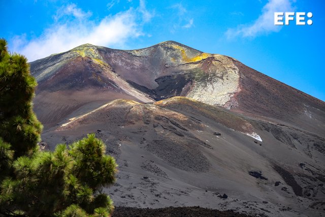 EFE Canarias tweet media