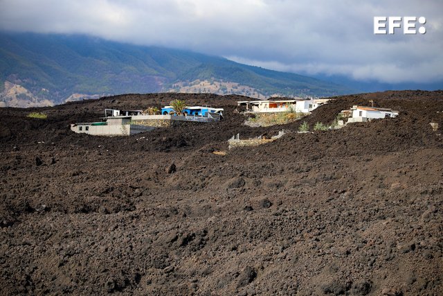 EFE Canarias tweet media