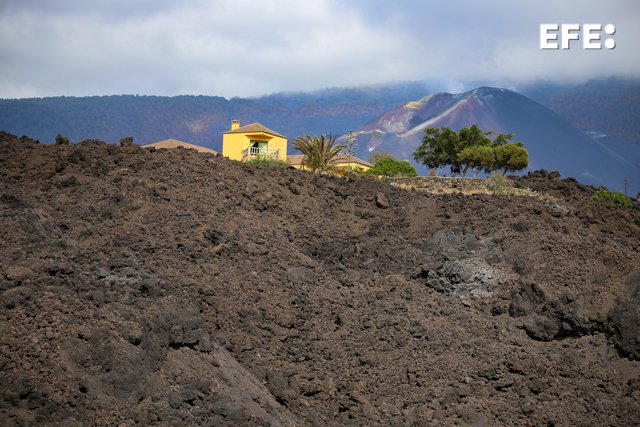 EFE Canarias tweet media