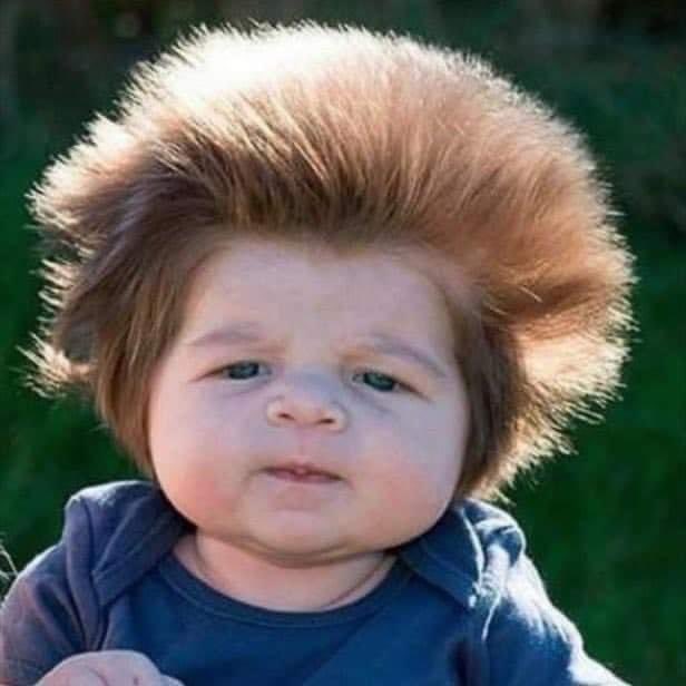 Adrian Labuschagne tweet media