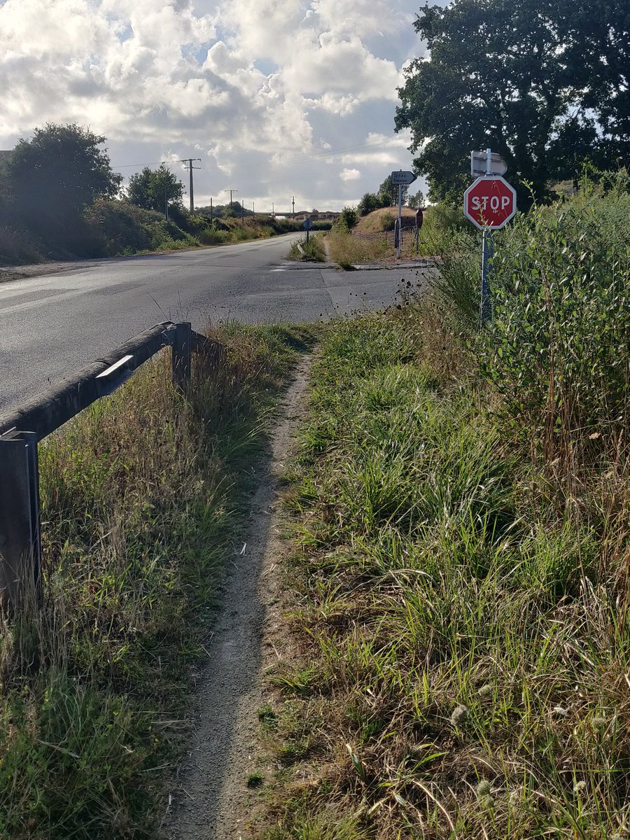 GeoffreyBrunois's tweet photo. Elle m'a un peu fait rire cette voie partagée. Et ils n'ont pas oublié la signalisation pour les cyclistes 😁
J'ai fini par reprendre la route, le bon bitume 👌 https://t.co/DnKFqFdc32