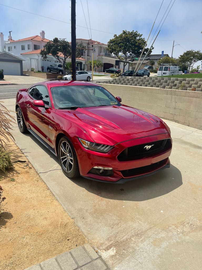 culverfan's tweet photo. Ruby got her wash today. #Mustang #FivePoint0 https://t.co/IBhEFsKHfk