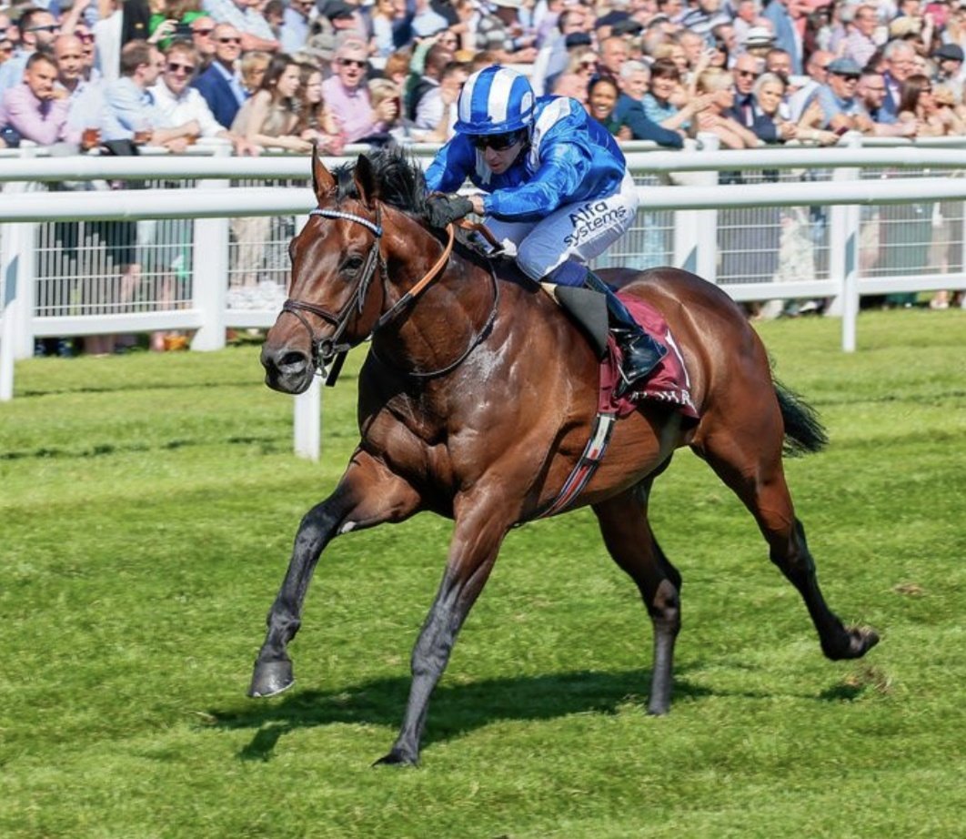 racingblogger's tweet photo. 🚀 If BAAEED wins the Juddmonte International at York tomorrow I'll give £50 CASH to one of you lucky people! 💷 

To Enter: 👇

1️⃣ RT this Tweet 
2️⃣ Follow @racingblogger

#YorkRaces #Win #York 🏆 🤩 https://t.co/et0KJM39Bp