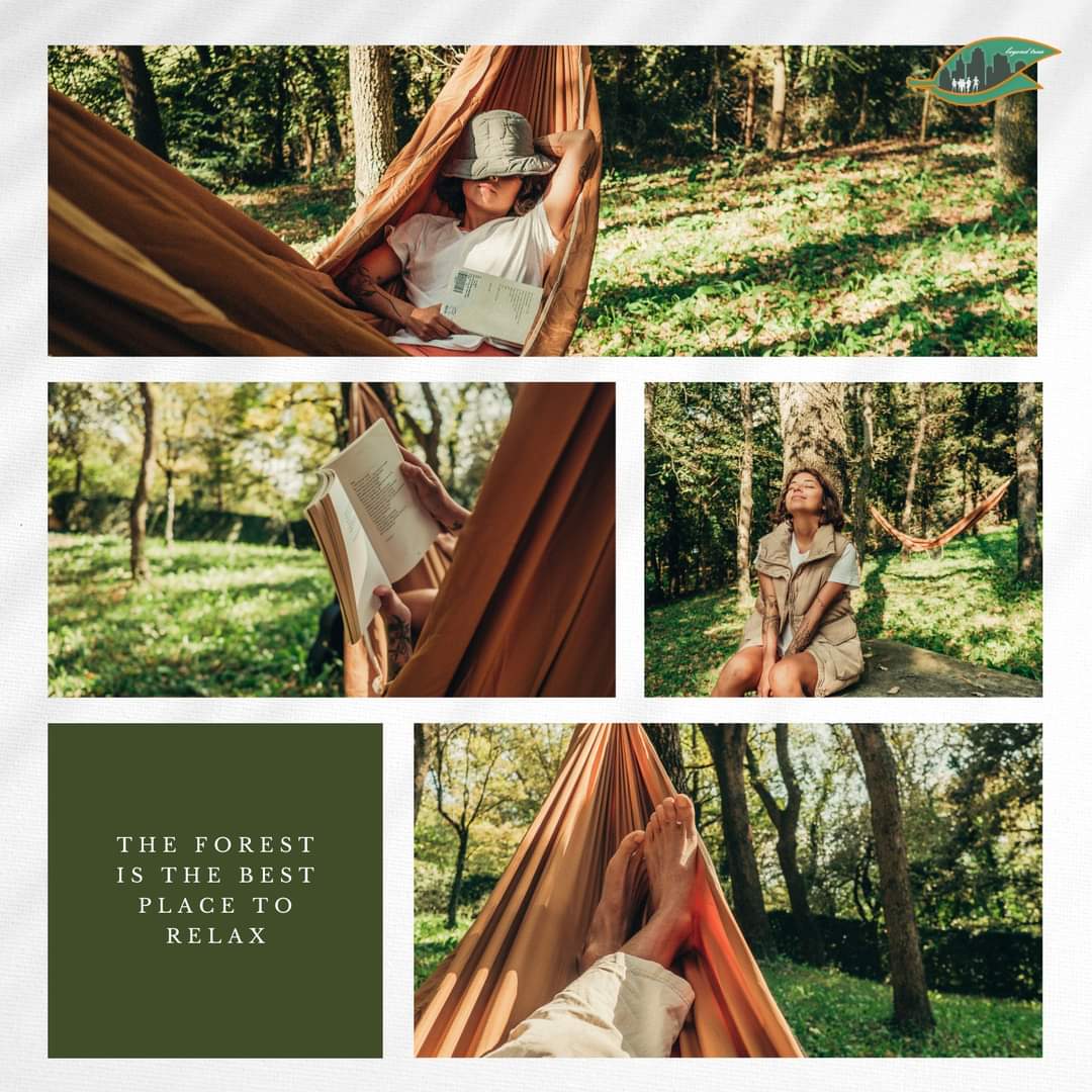 BeyondTreesNet's tweet photo. We all know how good being in nature can make us feel. We have known it for centuries. The sounds of the forest, the scent of the trees, the sunlight playing through the leaves, the fresh, clean air — these things give us a sense of comfort. https://t.co/NF4hTP79F4